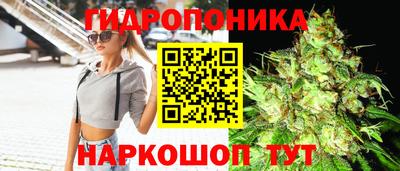 СК Лесосибирск