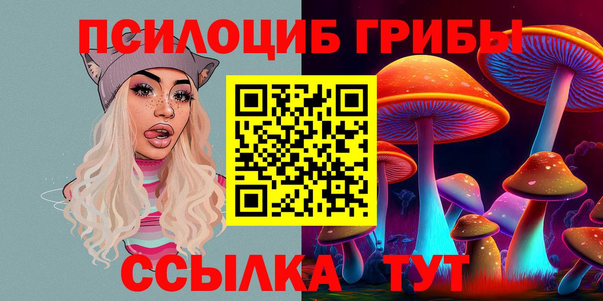 Галлюциногенные грибы Psilocybe Волгодонск